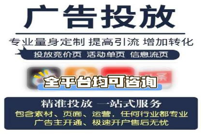 百度竞价与搜索引擎优化（SEO）结合的经典案例